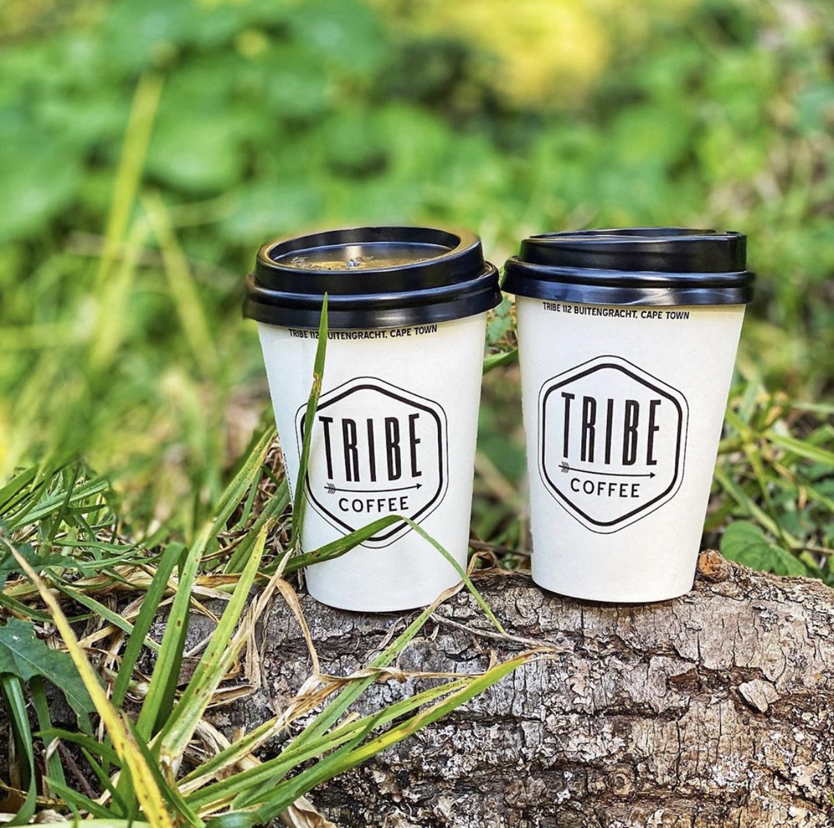 Tribe Coffee Roasting tweet media