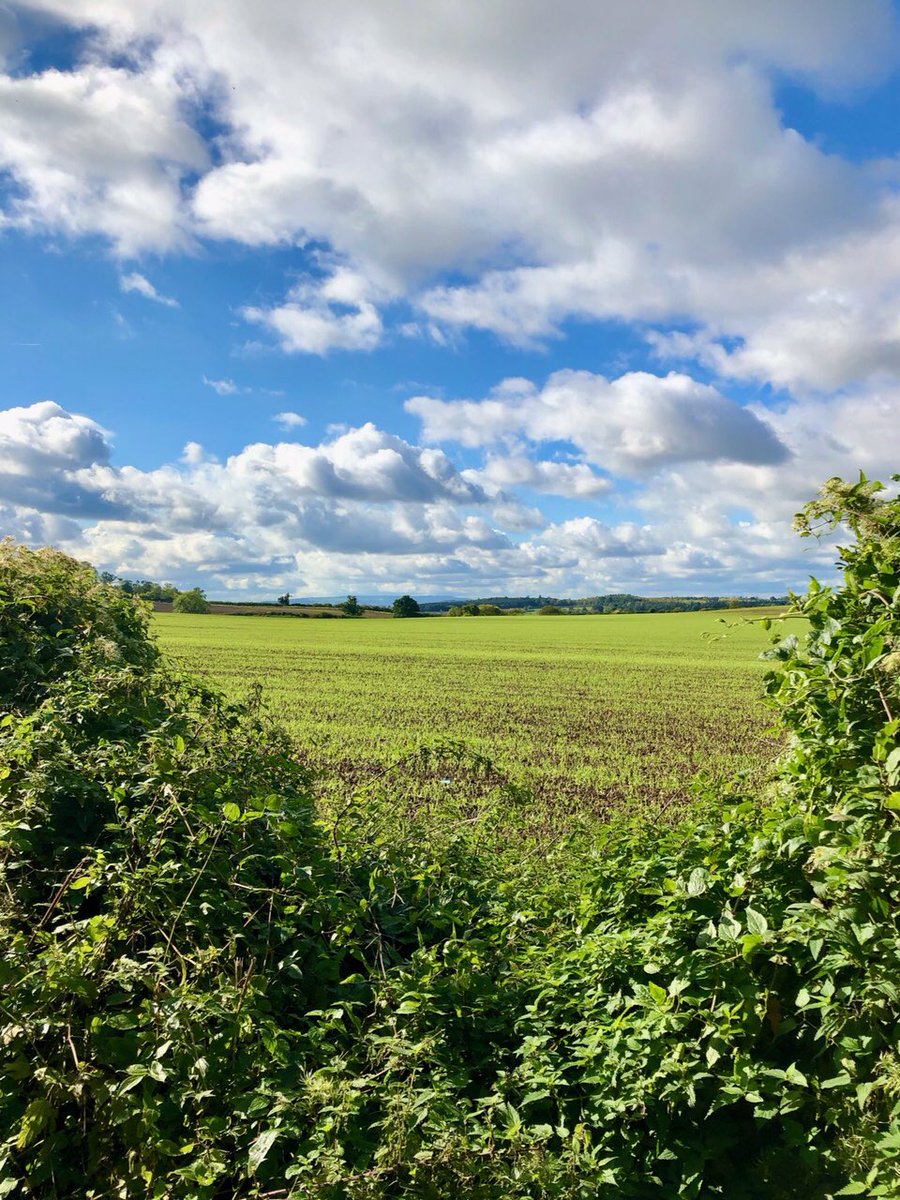 CDS_CIC's tweet photo. Happy Friday!!! Congrats to Charlotte @CDS_CIC who has used part of her day off to complete her 10km #WalkFromHome for @MouthCancerMCF!! 👍🦷🌈  Keep the sponsors coming in please!!! https://t.co/pWwq6q8vUG    👟👟👟👟👟👟👟👟👟👟 #ohimpoxfordshire #mouthcancer #cdsohimp https://t.co/ylR5Lz4PbR