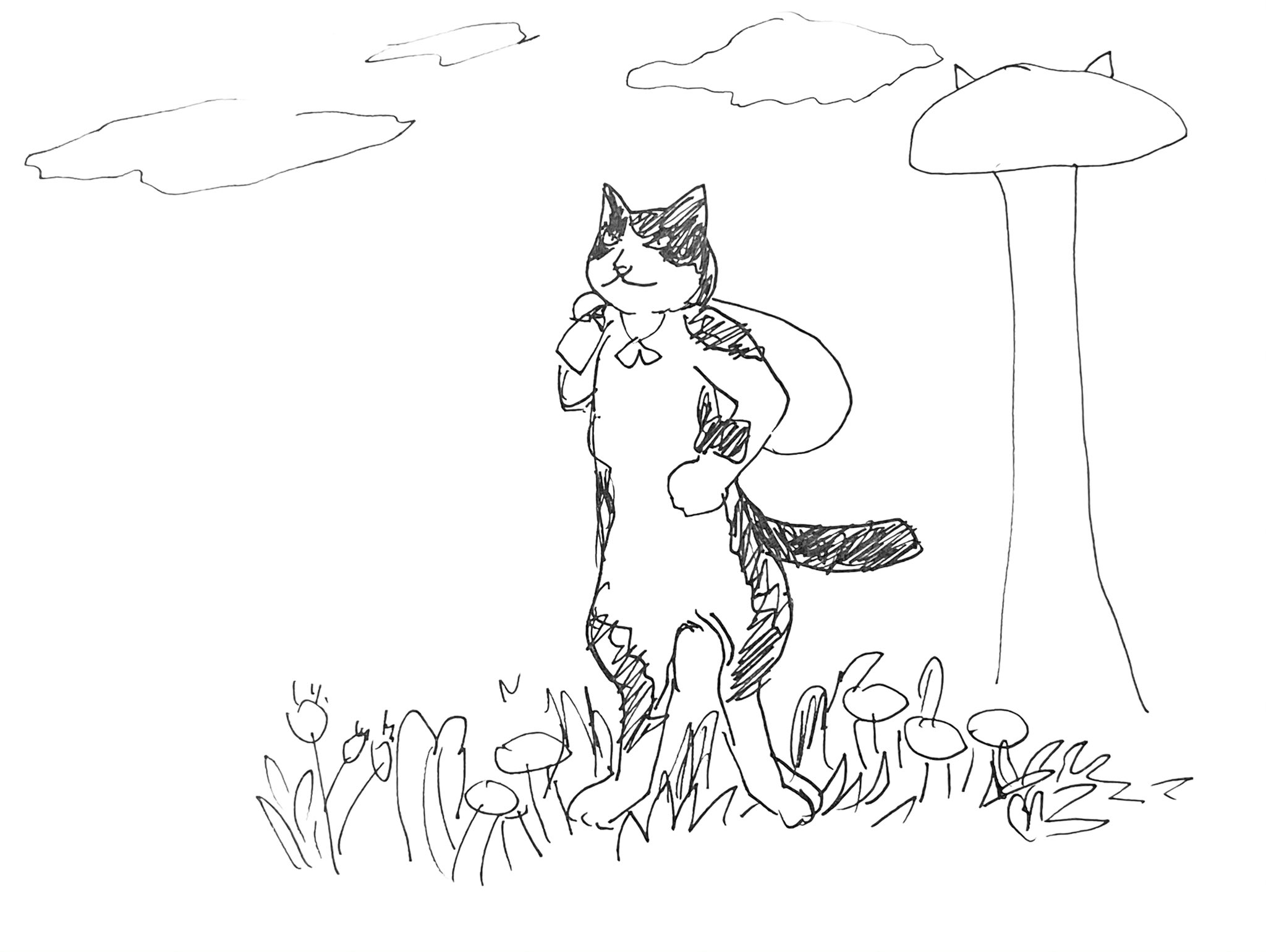 あおニャーマン さー次の冒険に出かけるかあ 猫イラスト ペン画 らくがき はまち 猫の絵 モノクロ なまねこ生活 猫の国 ハチワレの一族 絵本 猫作家 作家 イラストレーター 絵描き