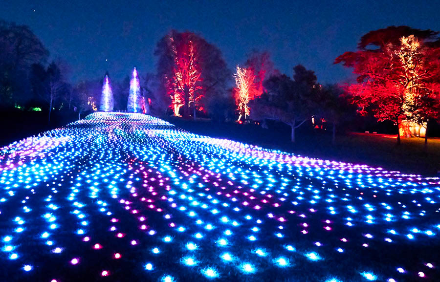 Inter Schools Adver. tweet media