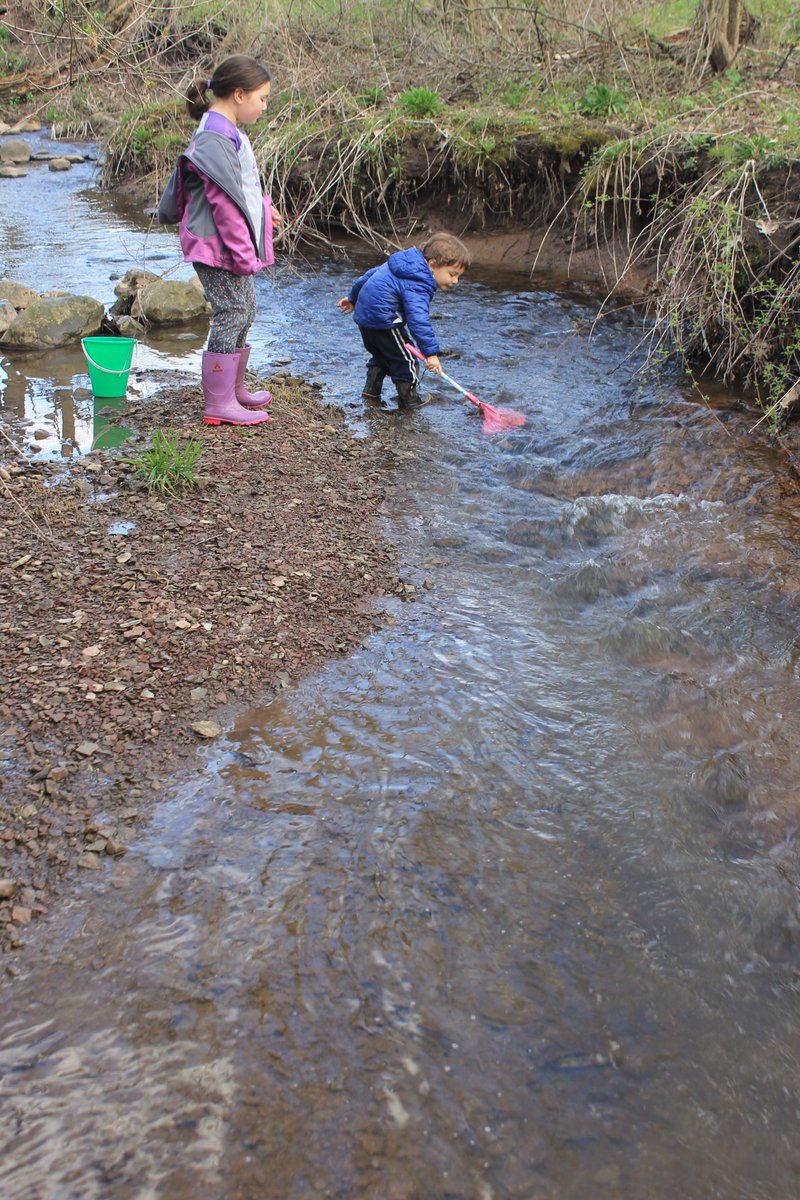 bobconfer's tweet photo. Do you want to get kids interested in nature and the outdoors? Never, ever forget about the simplicity and wonder of playing in a creek. Kids would spend hours in one if you let them. They'll have fun and want to learn about salamanders, fish, invertebrates and fossils #Nature365 https://t.co/RmyIPPowpE