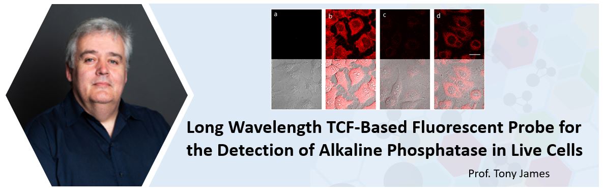 FrontChemistry's tweet image. 📣 On this #MoleDay we&apos;d like to acknowledge the excellent work of Prof. Tony James @chemosensors from @UniofBath – we’re glad to be working with you!😊

Read Prof. James’ article on TCF-Based fluorescent probes:

➡️ bddy.me/31zwhEy 🔎 

#OAWeek #OAWeek2020