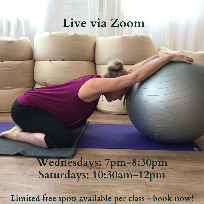 ActiveBirthIntl's tweet photo. PREGNANCY YOGA 
GET A FREE ONLINE CLASS IN NOVEMBER!
More info &amp; book online: https://t.co/voU7vfweGl
Limited places available | Offer is for one free class per person, during November 2020. 

#activebirth #pregnancyyoga #healthypregnancy #doula #midwife #pregnancyclasses https://t.co/hPJwO5m6h3