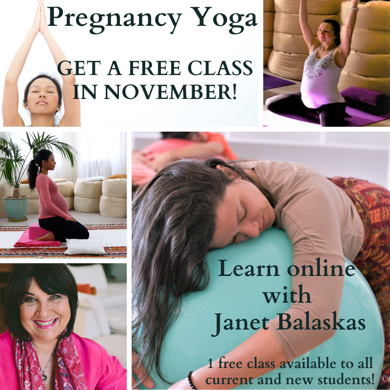 ActiveBirthIntl's tweet photo. PREGNANCY YOGA 
GET A FREE ONLINE CLASS IN NOVEMBER!
More info &amp; book online: https://t.co/voU7vfweGl
Limited places available | Offer is for one free class per person, during November 2020. 

#activebirth #pregnancyyoga #healthypregnancy #doula #midwife #pregnancyclasses https://t.co/hPJwO5m6h3