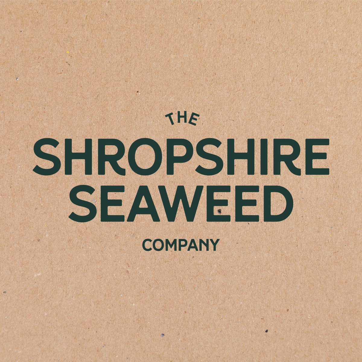 Out with the old, in with the new. We're treating ourselves to a makeover for 2021.

Watch this space. 👀

#allnewShropshireSeaweed #organic