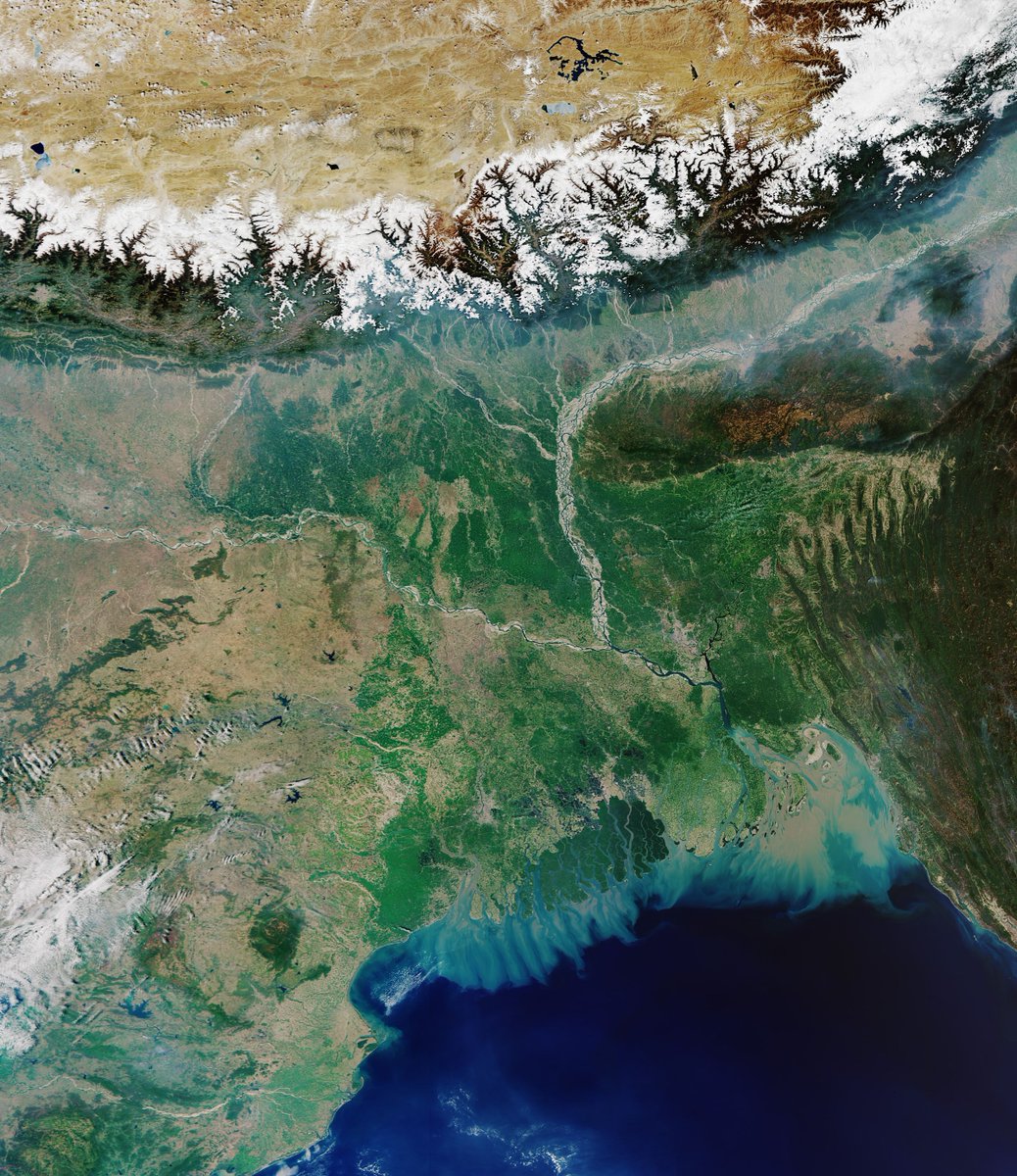 ESA_de's tweet photo. Die @CopernicusEU #Sentinel3-Mission führt uns heute über das gewaltige #Gangesdelta. Der schneebedeckte Himalaya ist oben auf dem Bild sichtbar und unten in Küstennähe befinden sich die berühmten Mangrovenwälder, bekannt als #Sundarbans. Natur pur! 

👉https://t.co/ovFu7CeoKe https://t.co/ITbU7FB1ak