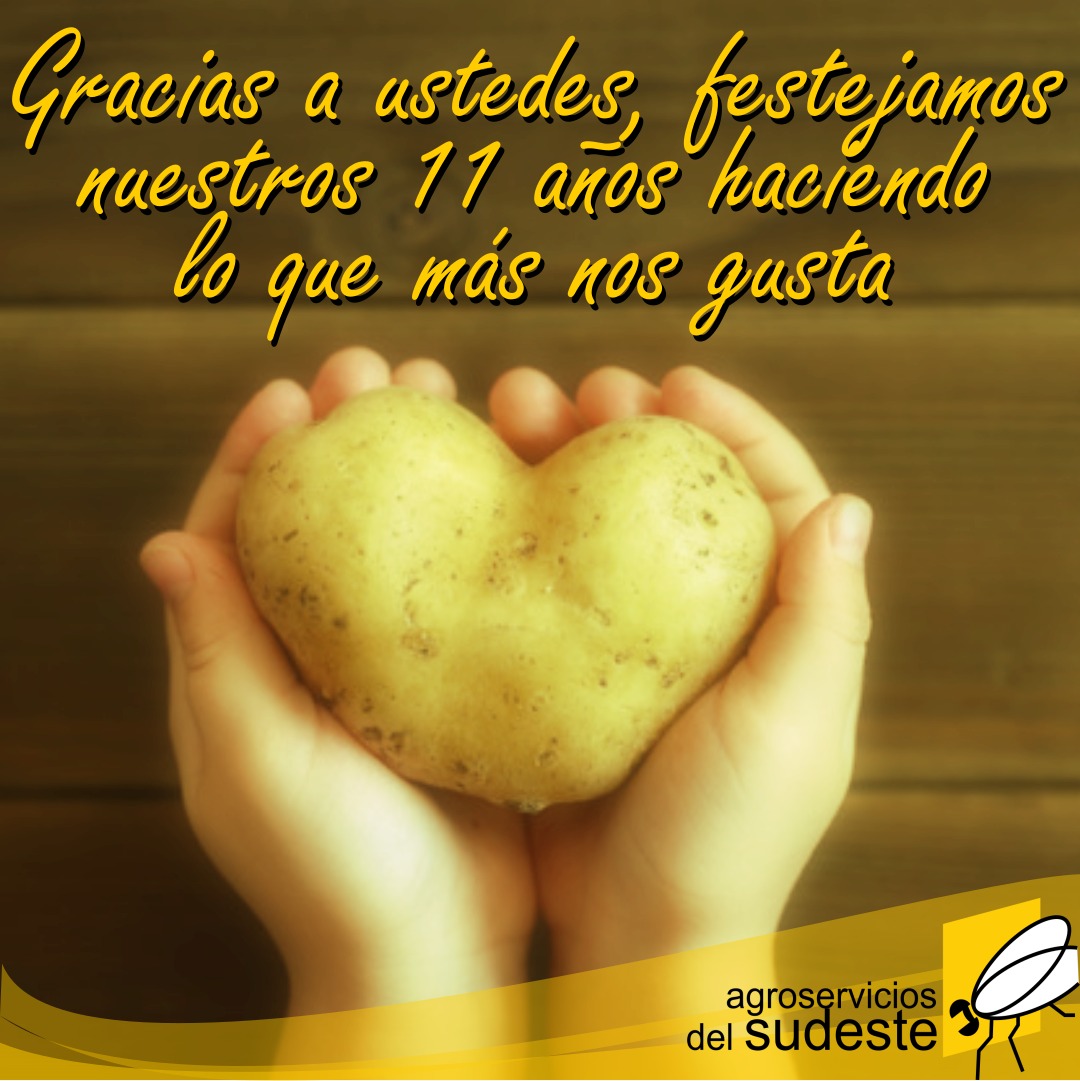 #Buenaviernes para saludar a quienes hacen posible que hoy festejemos 11 años. #Desafiandolímites #SiempreATulado
🥔🥔🥔🌿🌿🌿
🎆🎇🎉🎉🍾🥂