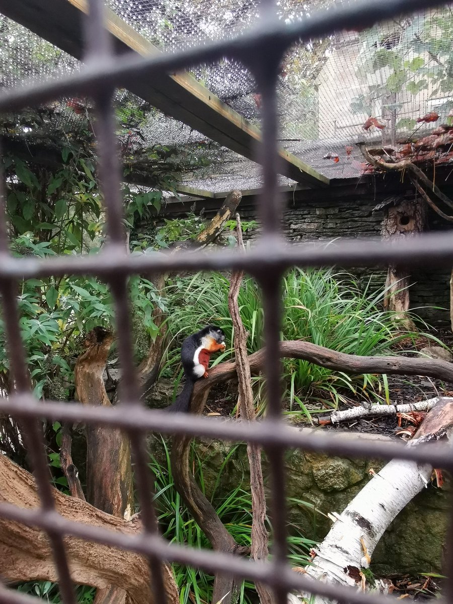 CandyBench's tweet image. 