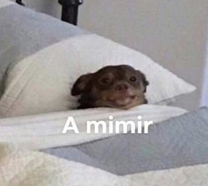 lamarujarubia's tweet photo. Gente indignada por los horarios del #toquedequedaesp

*Yo a las 20h de un día cualquiera: https://t.co/GRBpiAM3fo