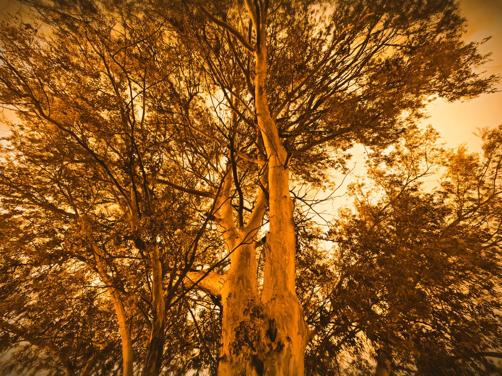 "Once we accept our limits, we go beyond them."

~Albert Einstein