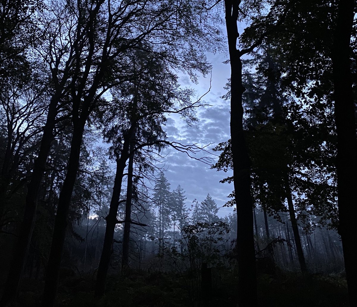 Vanochtend vóór het ochtendgloren op pad. Stikdonker. Wandelafspraak met oud-collega <a href="/High5_Nancy/">Nancy Boot</a>. Sunrise, morning miracle, een kadootje. Mooie gesprekken, gevoed en opgeladen. Daarna nog een volledige en lange werkdag voor de boeg. #aanrader #werkplezier #werkgeluk #recruitment