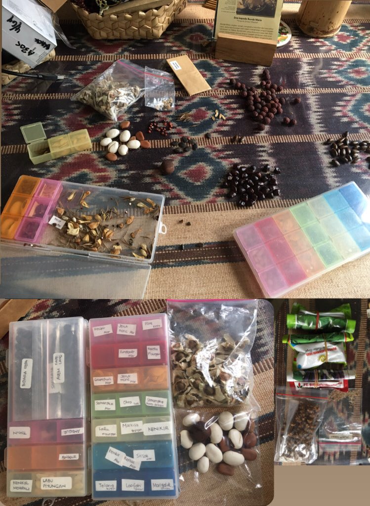 Alexamaheswari Twitter