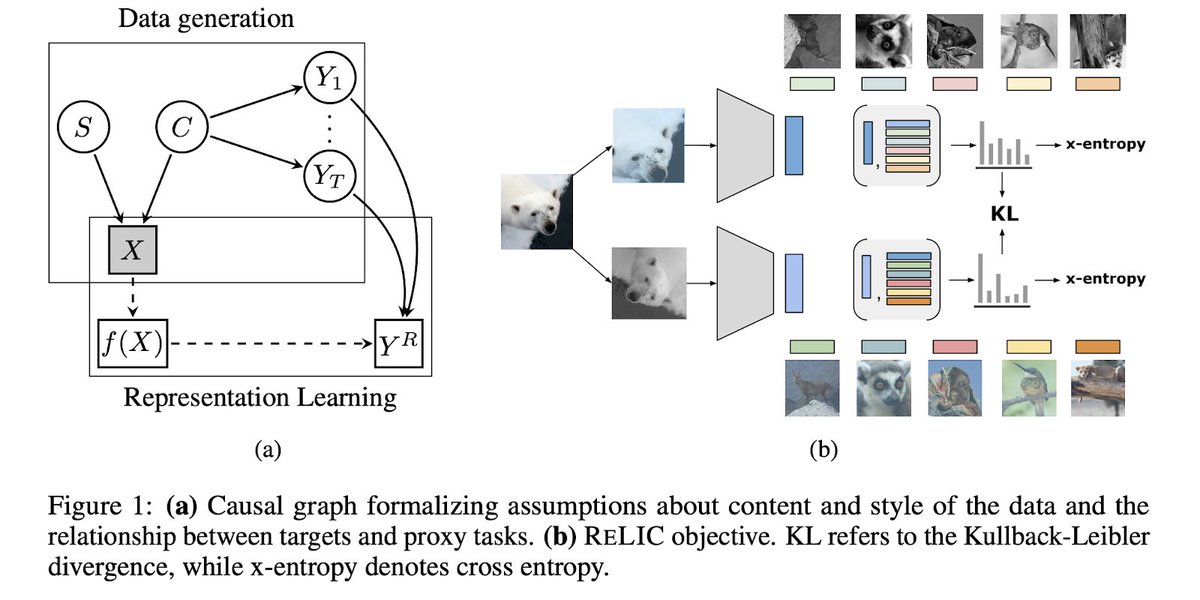 GoogleDeepMind's tweet photo. Want to learn representations that generalise in a self-supervised way? Our researchers propose ReLIC to show how to leverage causality to learn robust representations: https://t.co/HOUJtTMzg6

Work by @jovana_mitr, Brian McWilliams, Jacob Walker, Lars Buesing, @blundellcharles. https://t.co/wSumvnQdKw