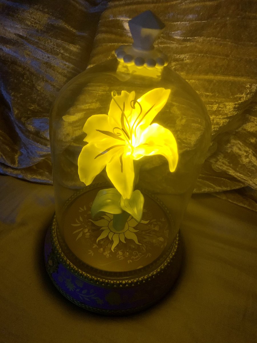 すばる ラプンツェルの魔法の花 電池入れてみたよ ふんわり輝いて映画のままにとても綺麗 電気付けても消してもかわいい これは大満足 Lrボタン電池3個 花はきらめくー 魔法の花ー