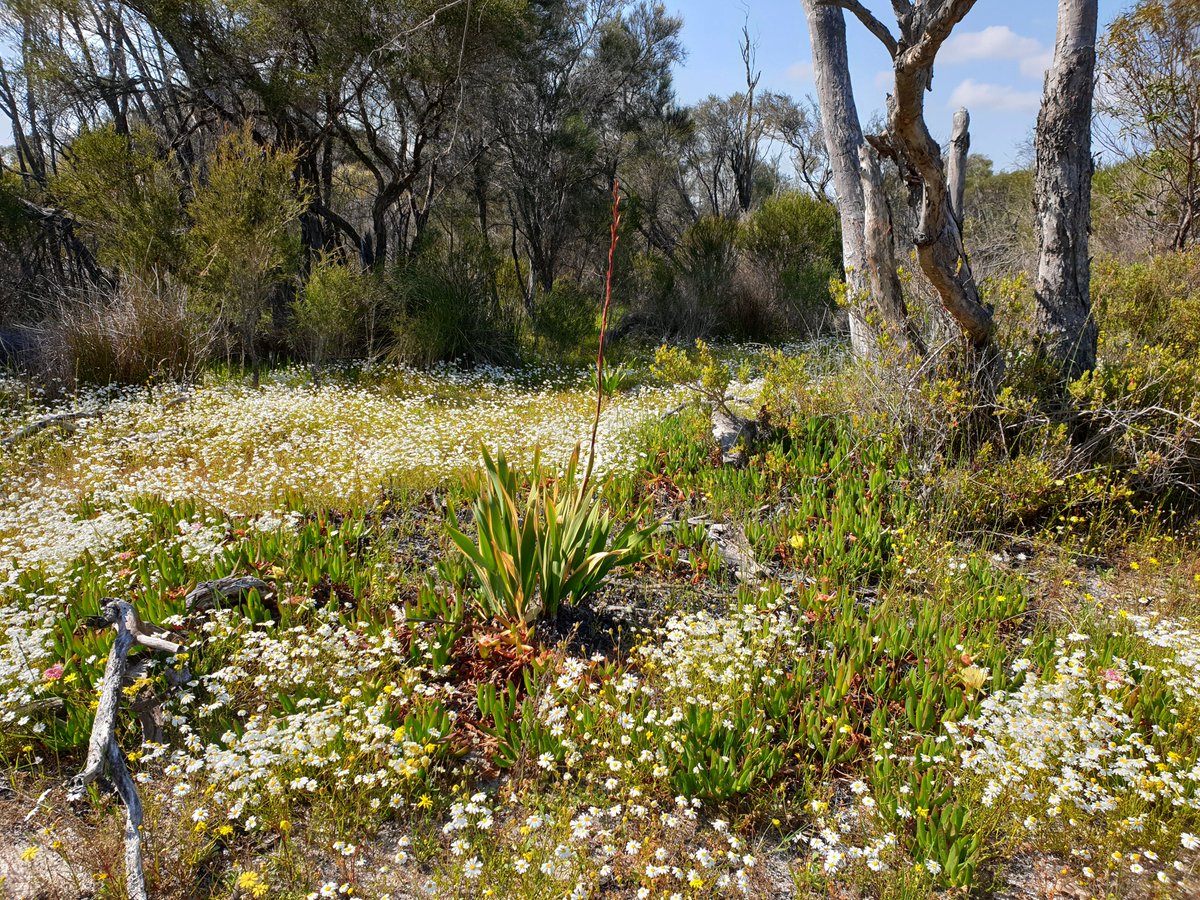 Mike_PHCC tweet media