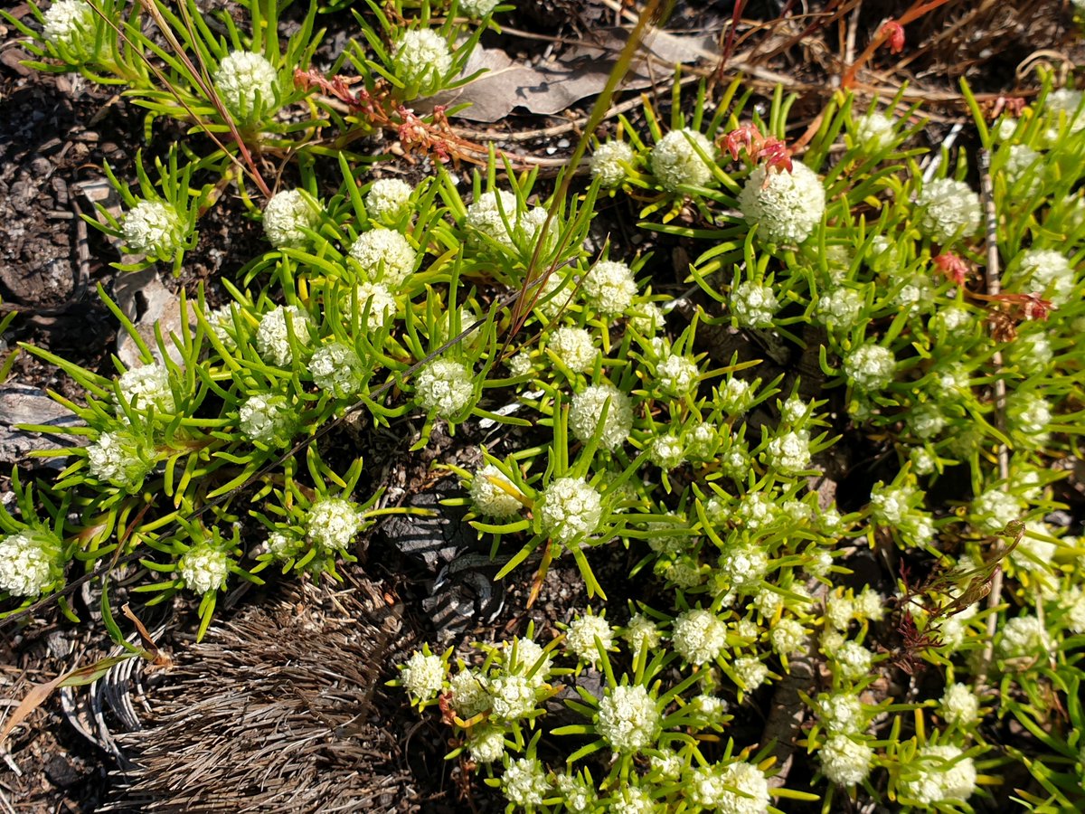 Mike_PHCC tweet media