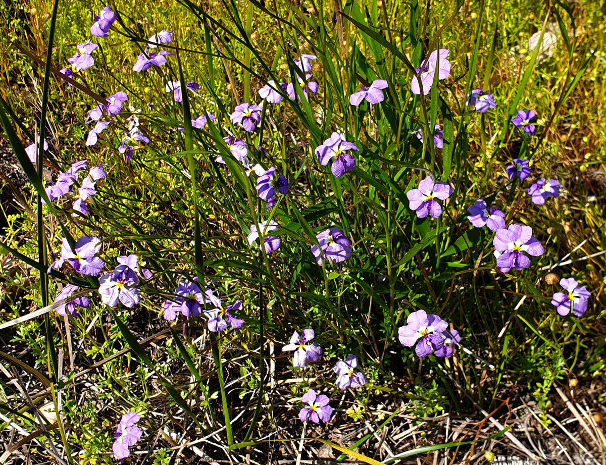 Mike_PHCC tweet media