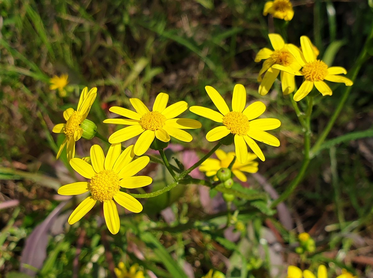 Mike_PHCC tweet media