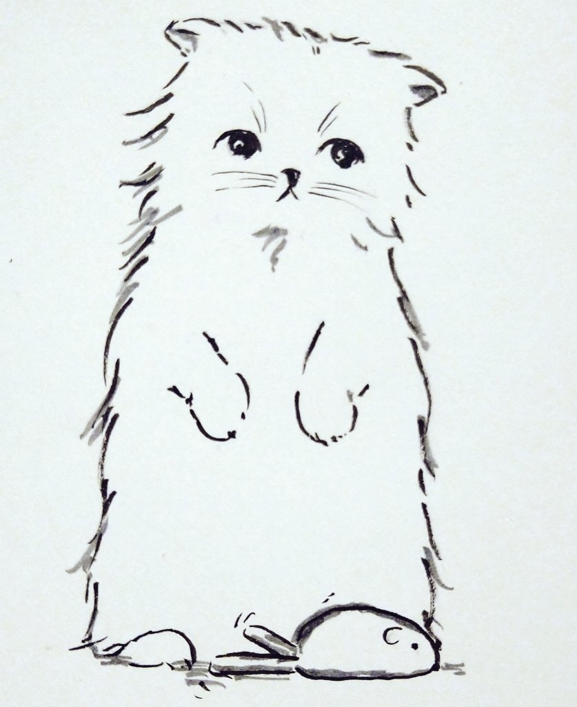 これ、何? 動いた!! ネズミのおもちゃが動き出したら、立ち上がってびっくり🐱☺️ #お絵描き #猫イラスト #猫好きさんと繫がりたい #イラスト好きな人と繋がりたい #ねこ #筆ペン