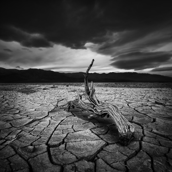 System Of Things by Jeff Mercader: More artworks https://t.co/VLgb8Y1dHa #Photography #Digital #Nature #Landscape #Mountain #Art #Mystery #Fine #Passion #longexposure #slowshutter #longexposure_shots #photographer #photo #bnw #bw_society #square… https://t.co/1t3iqIMt5N https://t.co/IYKeDPSTrw