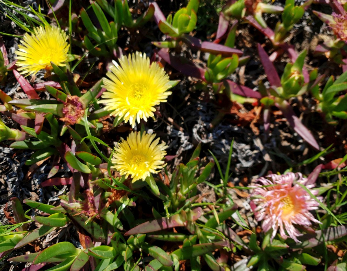 Mike_PHCC tweet media