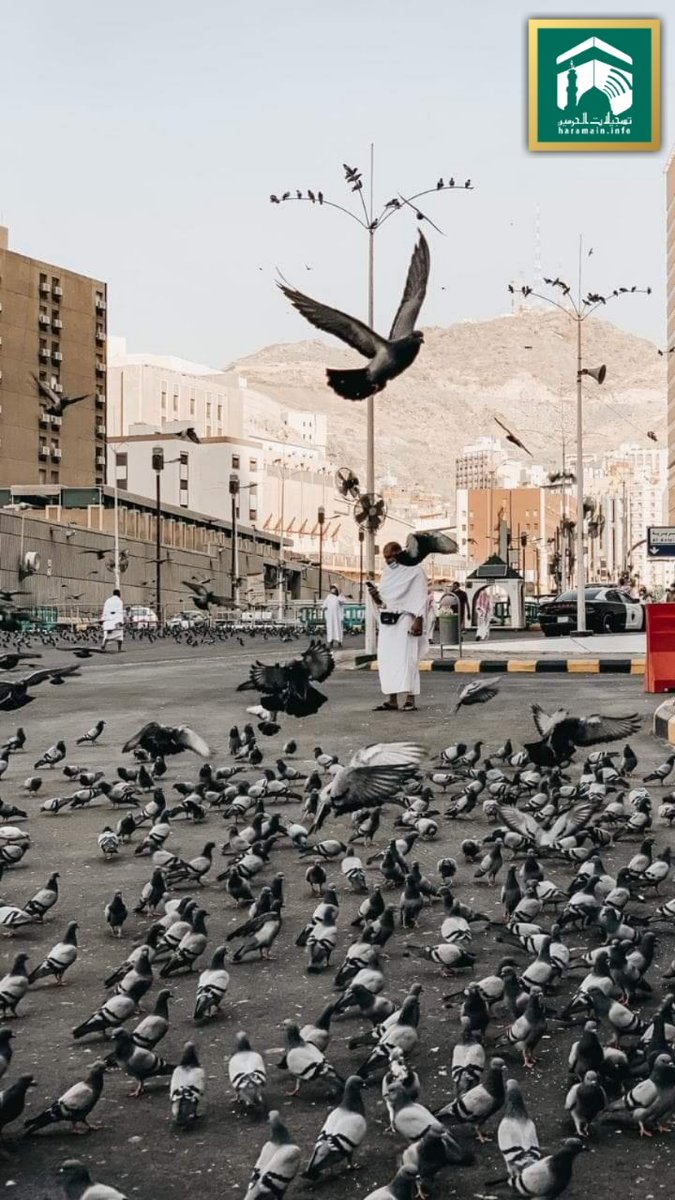 HaramainInfo's tweet photo. Beautiful pictures from Masjid Al Haram.

O Allah Subhanahu wa ta'ala, grant our Viewers and the Muslims around the globe the opportunity to visit Masjid Al Haram soon.
#haramaininfo https://t.co/rwCjmGvTJ9
