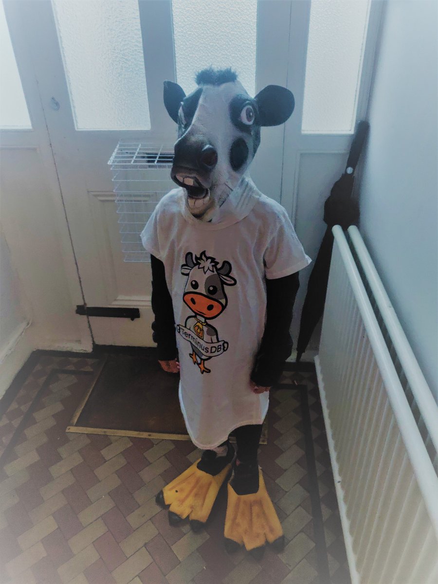 TerminusDB tweet media