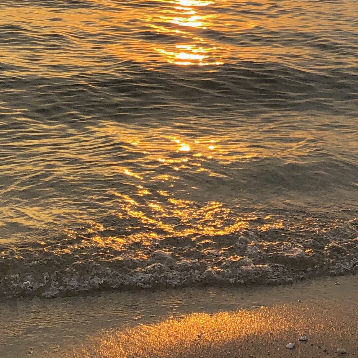 บางแสนเต็มไปด้วยรัก