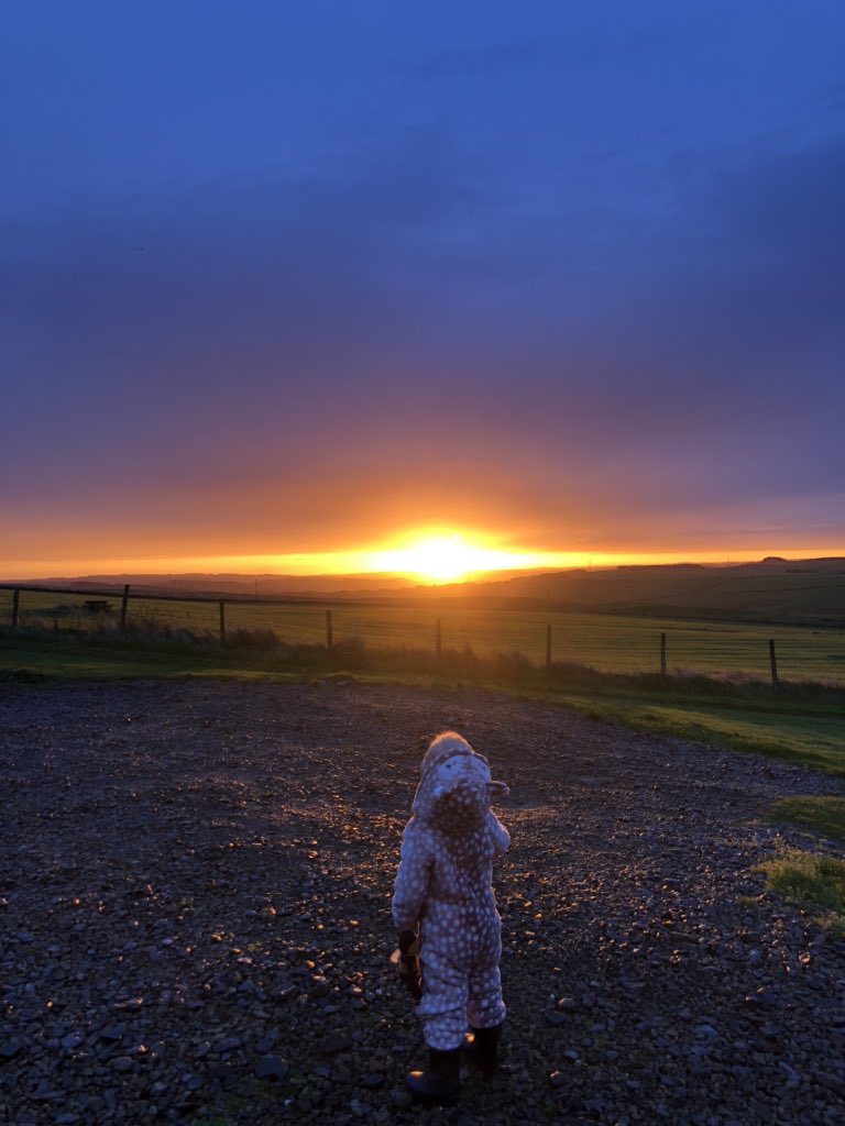 Sunrise over the farm this morning 🍁 ☀️  #farmstay #holidaycottage #northumberland