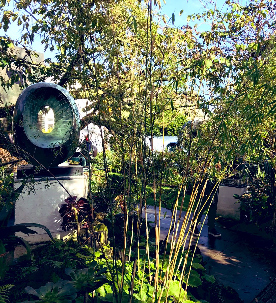 #BarbaraHepworth #sculptor worked at the same time as #Steggles &amp; <a href="/EastLondonGroup/">EastLondonGroup</a>. Did they ever meet I wonder? <a href="/Tate/">Tate</a> #StIves