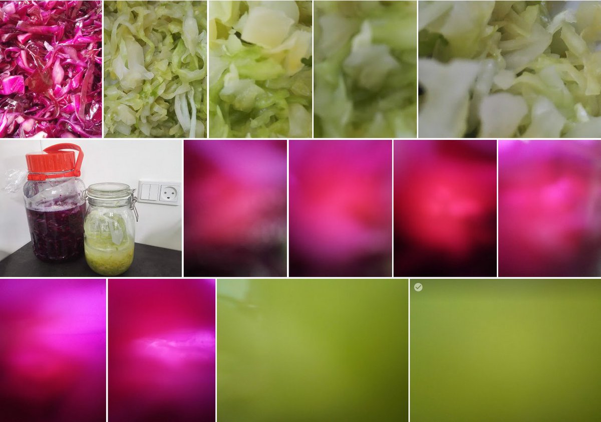 magdatyzc's tweet photo. i am looking forward to the next workshop #fermenting #data on 31 October with @avisti73 #Andromeda8220 #sigridsstue #codeandshare and others See what we have done so far https://t.co/gZfSASkx6Z https://t.co/wTEKUHbjiZ