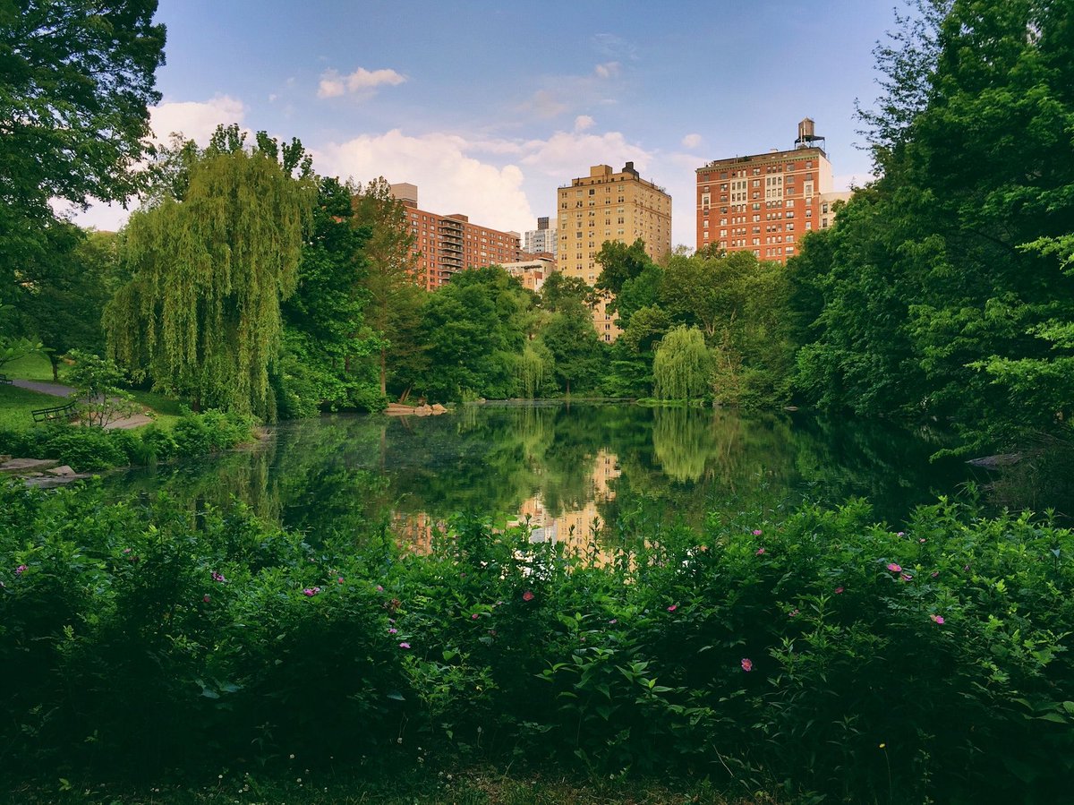 #BosquesUrbanos, Imprescindibles contra el Cambio Climático via <a href="/Ethic_/">Ethic</a>: ethic.es/2020/08/bosque… 

#CapitalismoConsciente #ConsciousCapitalism #sostenibilidad