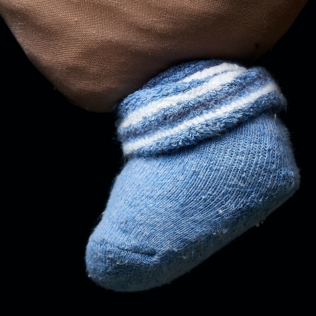 DIE BÜHNE DD tweet media