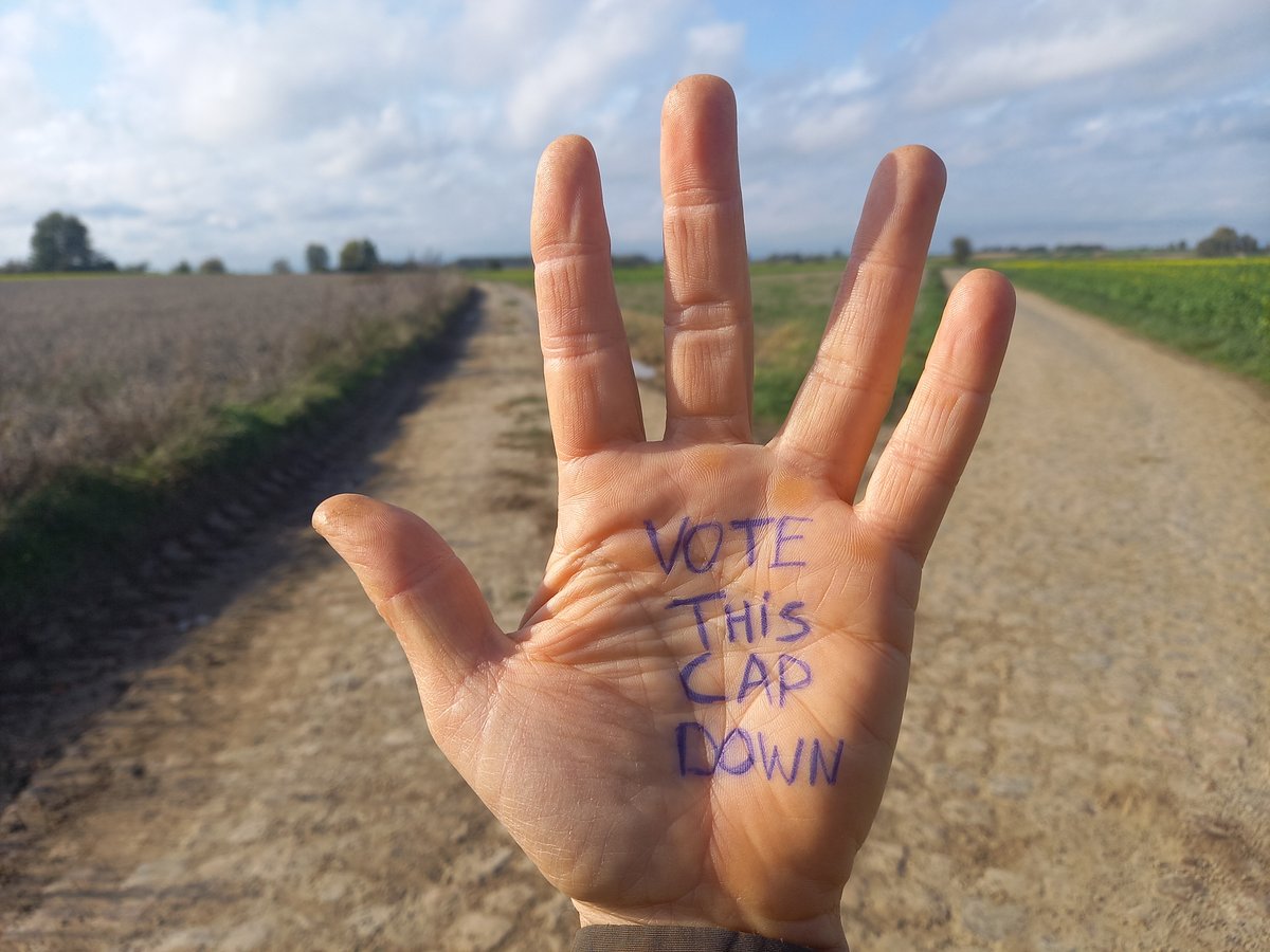 MijnNatuurpunt's tweet photo. Last call. Namens meer dan 120.000 leden van @MijnNatuurpunt  #VoteThisCAPdown 

👉 @FranssenCindy @peeters_kris1 @hildevautmans @guyverhofstadt @Assita_Kanko @GeertBourgeois @jvanovertveldt @msaraswati @kvanbrempt https://t.co/fTZfhmmyps