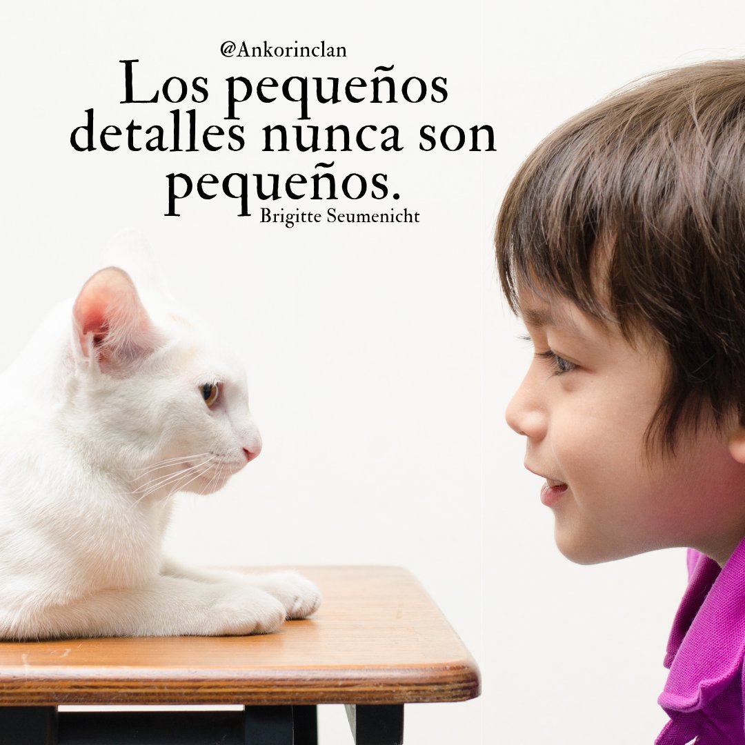 Ankorinclan On Twitter Los Pequeños Detalles Nunca Son Pequeños