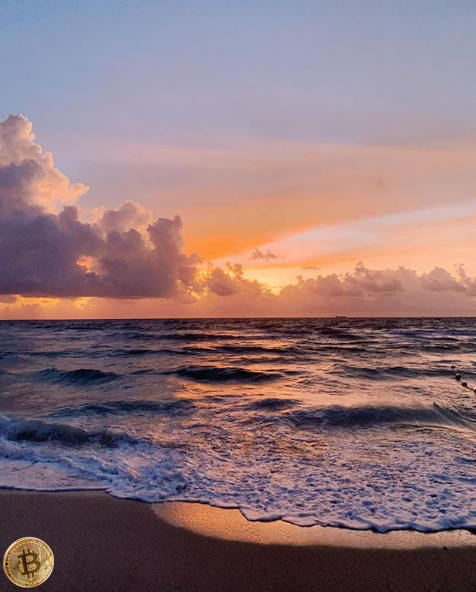 MiamiBeachPages's tweet photo. Greetings from Miami Beach 

#MiamiBeach #bitcoin https://t.co/Gkw6awVMxV