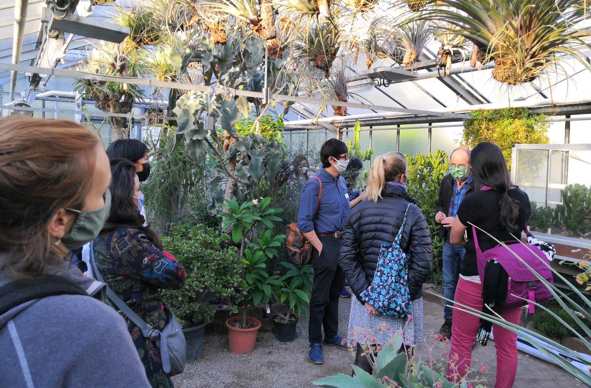 thegoecampus's tweet photo. Göttingen Campus Postdoc Social - first in person since February: important to keep social networks despite coronavirus precautions. THANKS Alte Botanische Garten Göttingen, a fascinating tour through beautiful autumn trees and historic greenhouses #KeepSafeKeepWell #GCPostdocs https://t.co/9nlYZUdxTe