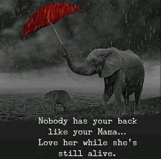 SharkSayings's tweet photo. So true 💗

#LoveClasses https://t.co/Fb51OsDX0c
