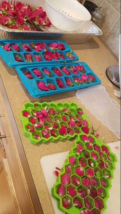 ROTTAY09's tweet photo. Champagne and flower?
Make flower ice cube for a different party.
Make life more colorful🌈🌈🌈🌈🌈🌈🌈
#icecubetray #iceballmaker #whisky #FreeProducts https://t.co/XHVJ8RwQDV