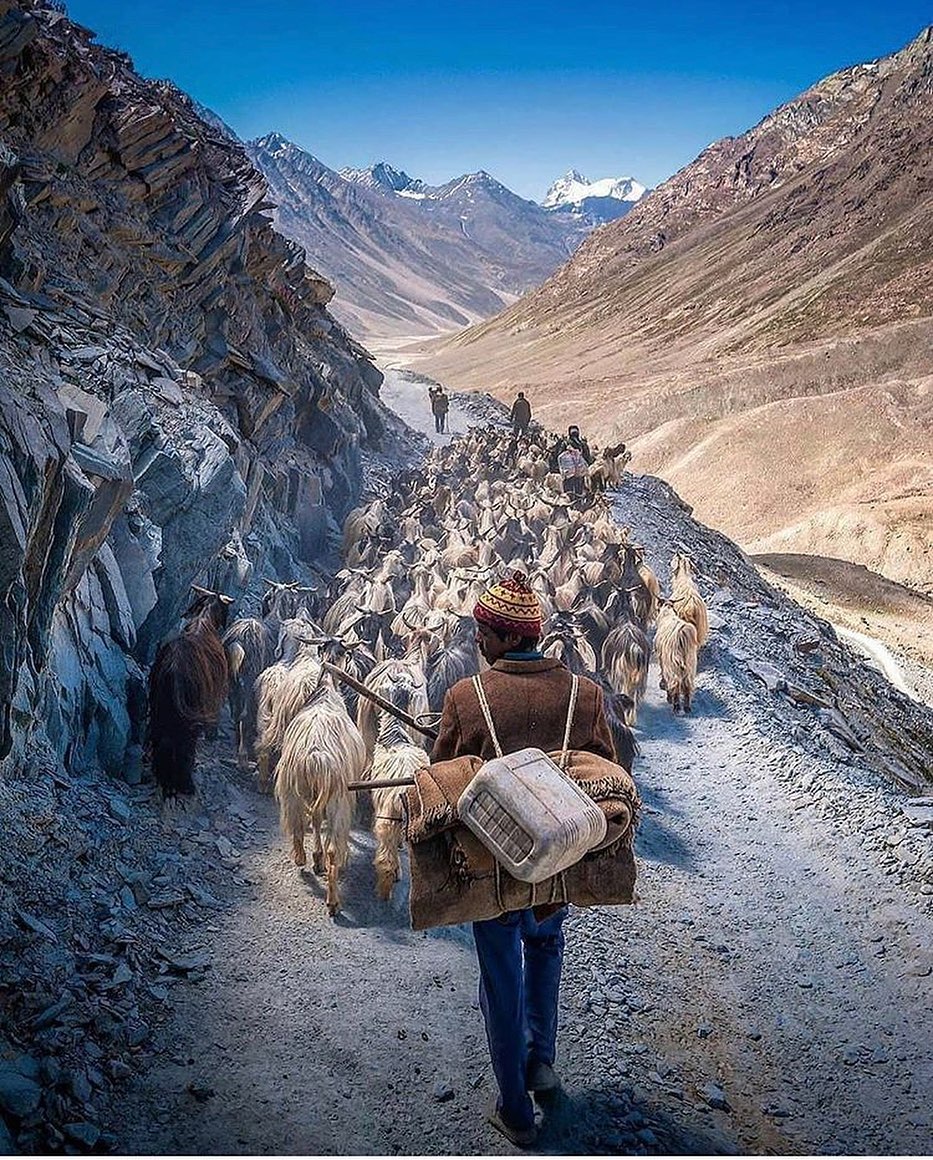 To remember nature, spend a day with a shepherd, to remember yourself, spend a day with nature!

📸 @withmanish 💚 Instagram

@tripillss 
@tripillss 
@tripillss 

#travel #travelphotography