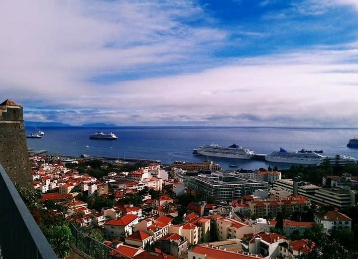 SilviaCorreia05's tweet photo. Miss seeing these in our por. It has been empty for months.
Cruise ships are due to come back soon. 💙🚢🛳
#CruiseShips, #MeinSchiffHerz, #FunchalPort https://t.co/mggt1YOtCX