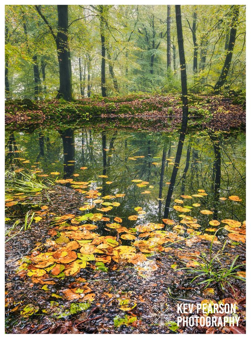 RT <a href="/KevPearsonPhoto/">KevPearsonPhoto</a>
'Serenity'
To see the best of the autumn colours you have to head into the woods. It's even better when you know where the magical places are. ;-) #autumn #forest #colours #magical #reflection #Somerset #uk