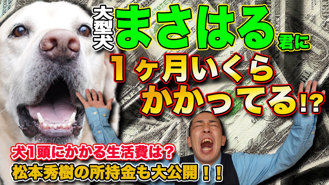 所持金 Twitter Search Twitter