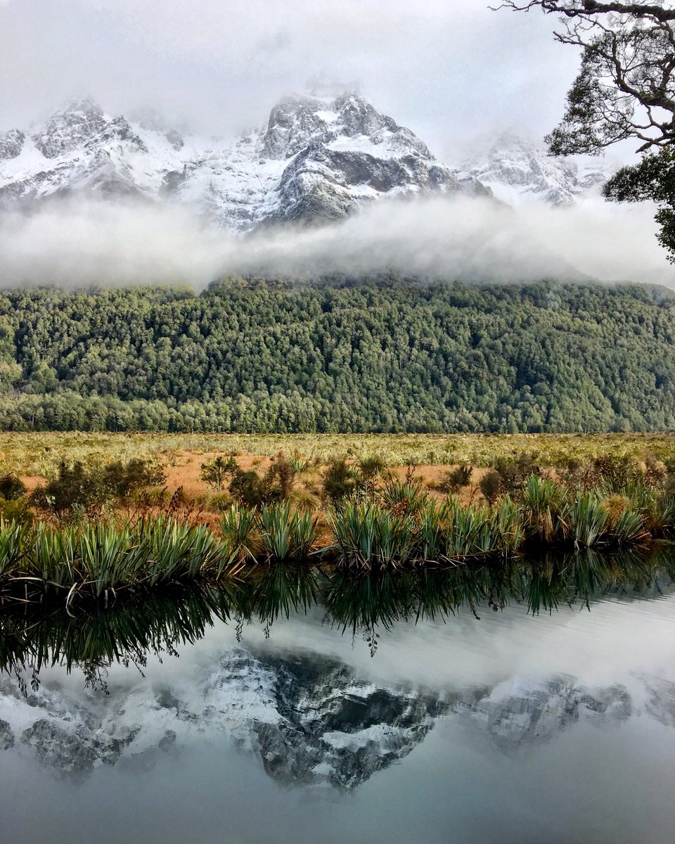 Mirror Lakes on the way to Milford Sound 😍 <a href="/PureNewZealand/">New Zealand 🇳🇿</a> #NewZealand #FlashbackFriday