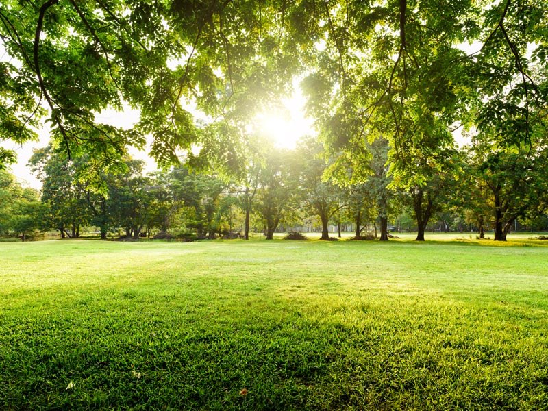 mimit_gov's tweet image. #Efficienzaenergetica, finanziati 35 nuovi progetti di riqualificazione edifici #PubblicaAmministrazione 316 milioni di euro complessivi stanziati finora per il Programma #PREPAC @minambienteIT @ENEAOfficial @GSErinnovabili @agenziademanio bit.ly/3jq04pv