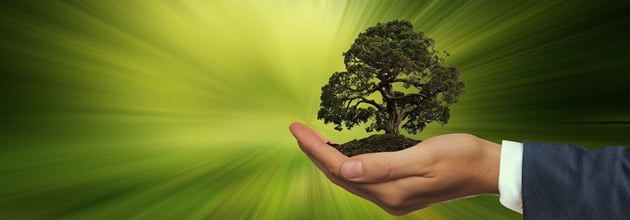 DigitalLead tweet media