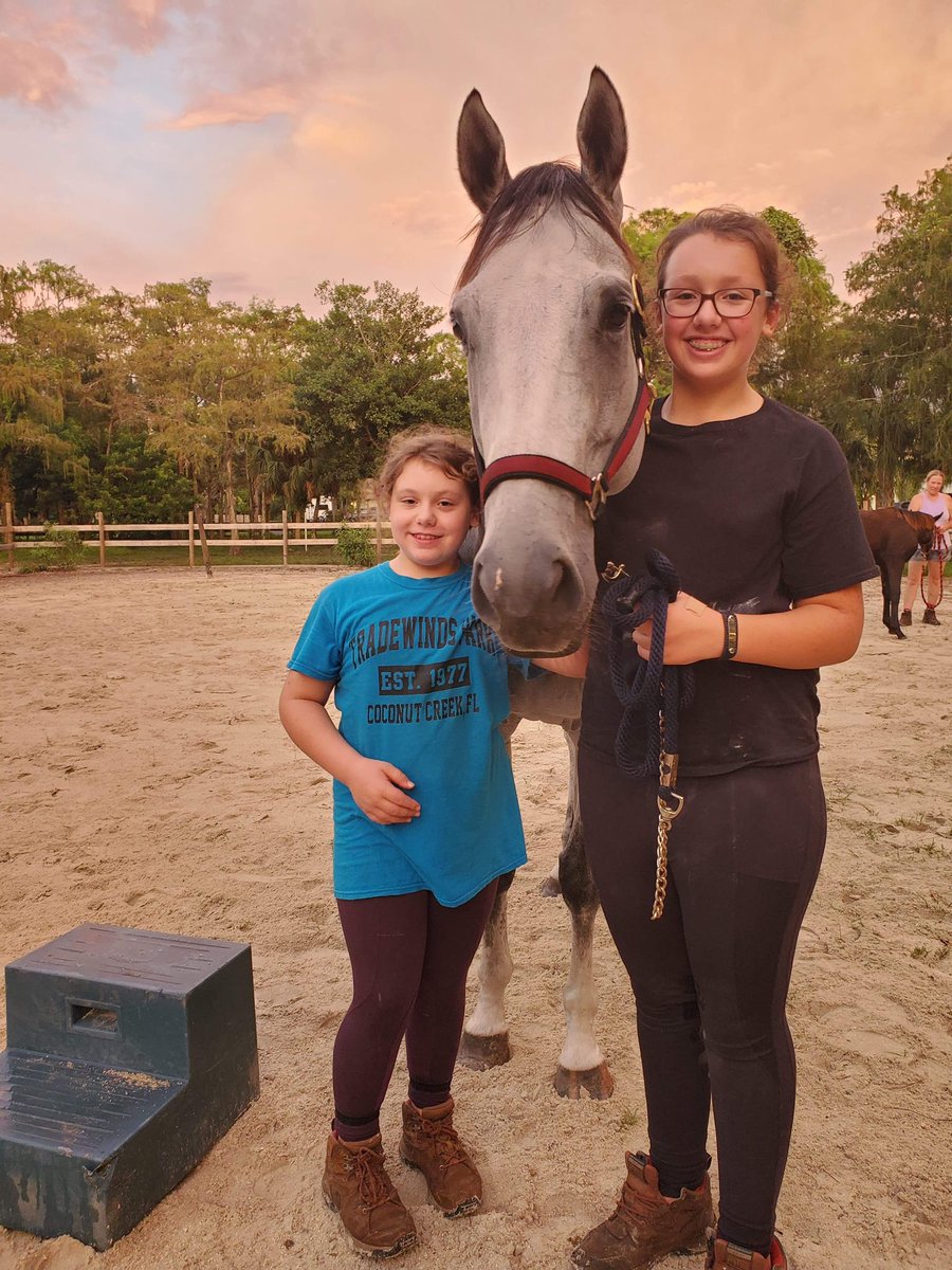 TK_Stables's tweet photo. https://t.co/au6FZbEi4v