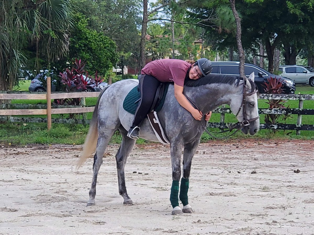 TK_Stables's tweet photo. https://t.co/au6FZbEi4v