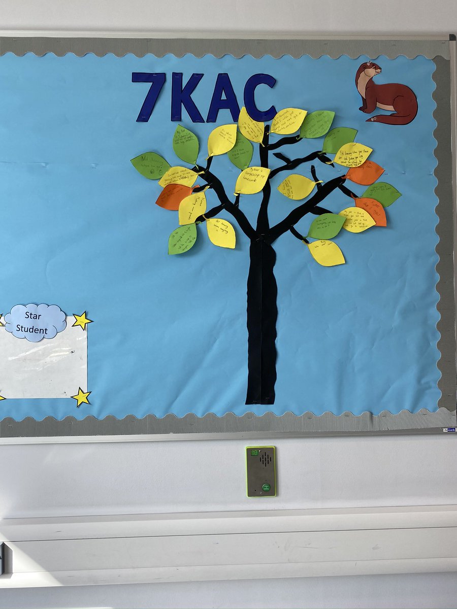 AceyMiss's tweet photo. 7KAC @nieperacademy have come so far this half term. Nearly all their fear leaves have fallen off our fear tree! https://t.co/xVHLhqW75t