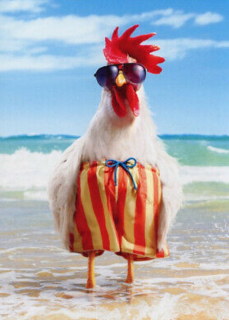 Camarada SVETLANA tweet media